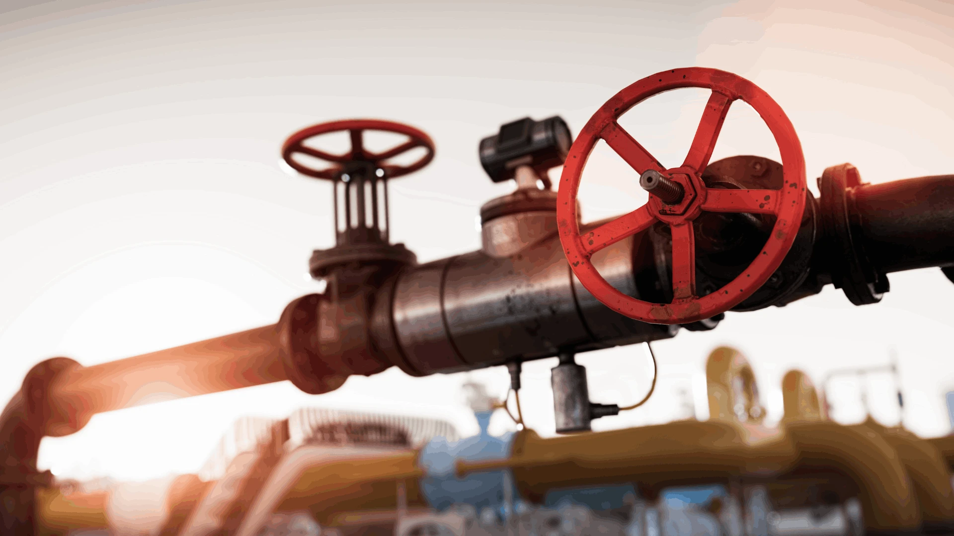 Especialistas en Gas Natural